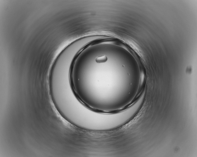 X0000091001046200708091535
