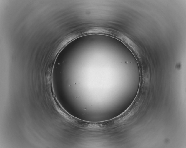 X0000091001049200708091535