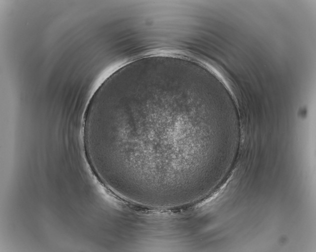 X0000091001050200708091535
