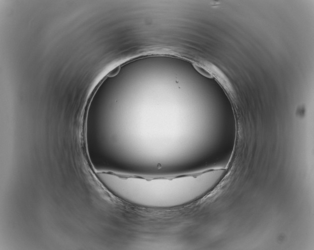 X0000091001052200708091535