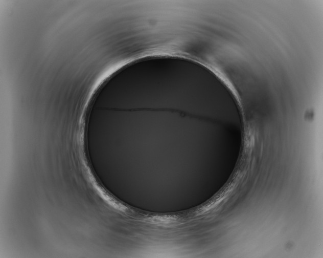 X0000091001053200708091535