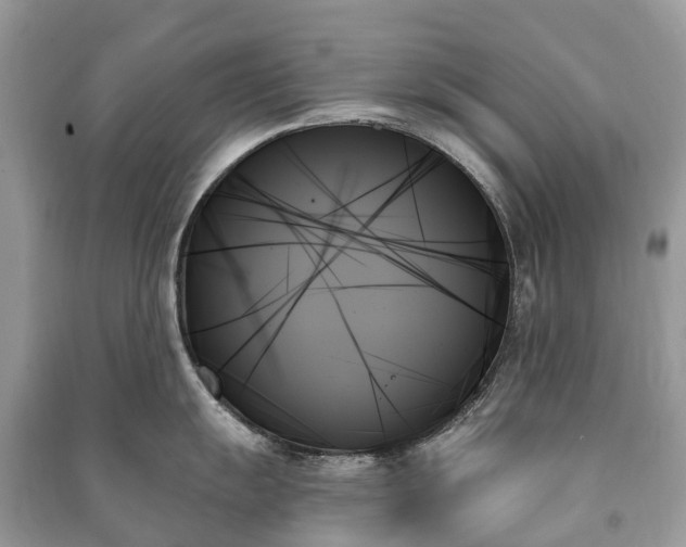 X0000091001055200708091535