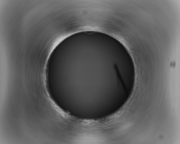 X0000091001056200708091535
