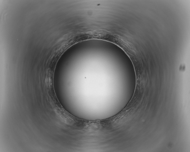 X0000091001058200708091535