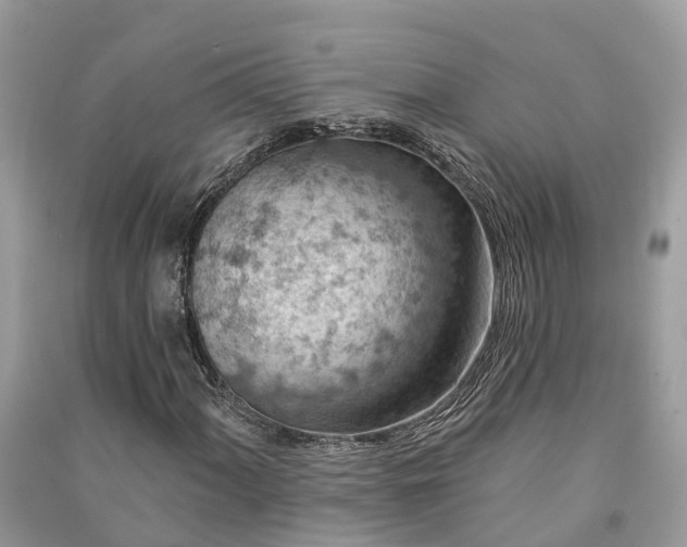 X0000091001060200708091535