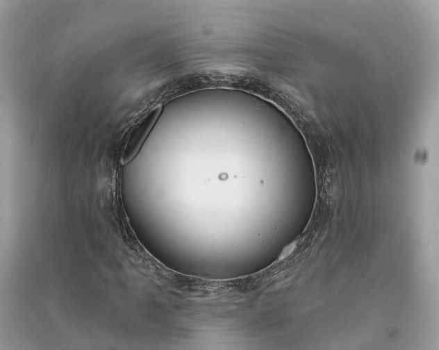 X0000091001061200708091535