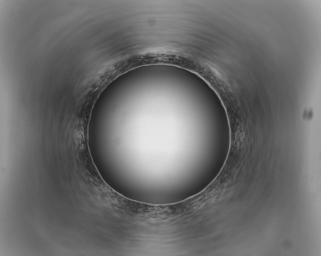 X0000091001062200708091535