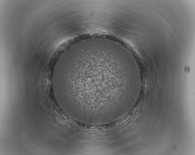 X0000091001063200708091535