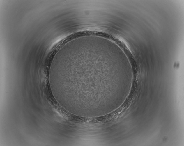 X0000091001064200708091535