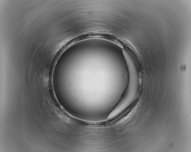 X0000091001065200708091535
