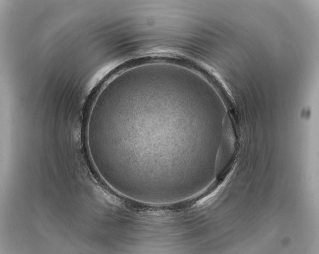 X0000091001066200708091535
