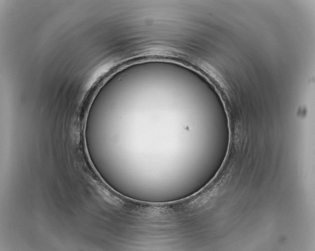 X0000091001067200708091535