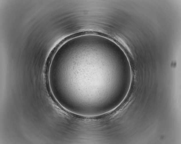 X0000091001068200708091535