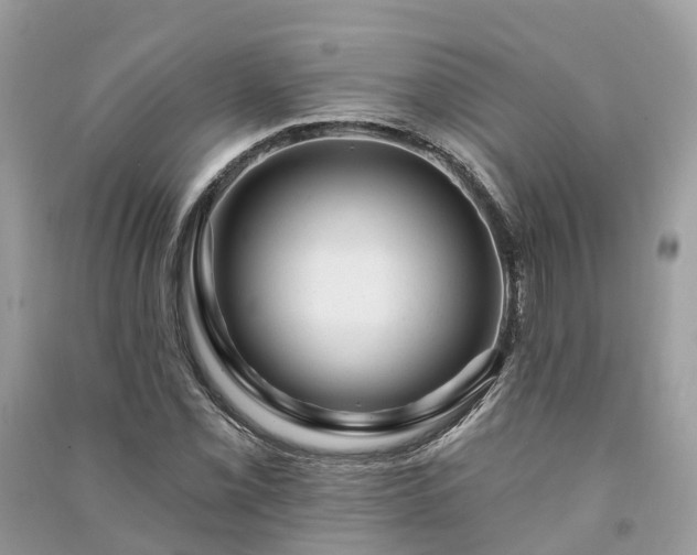 X0000091001069200708091535