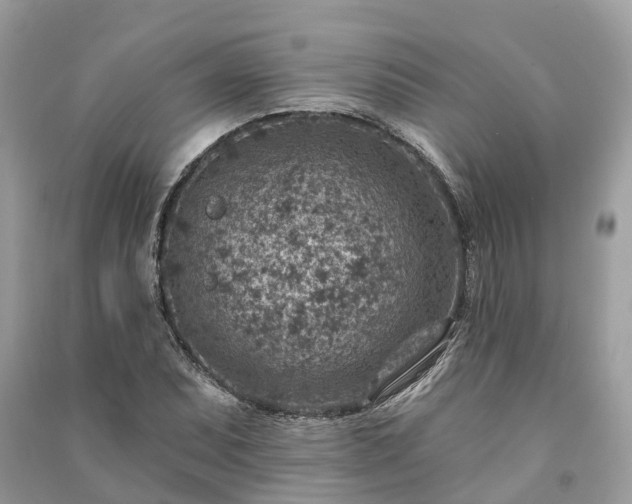 X0000091001071200708091535