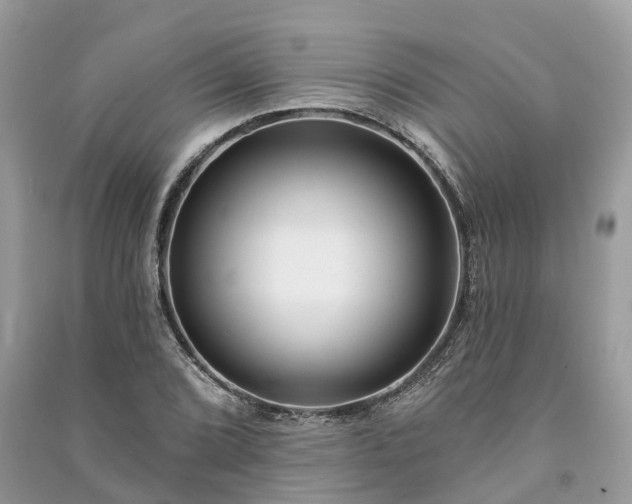X0000091001072200708091535