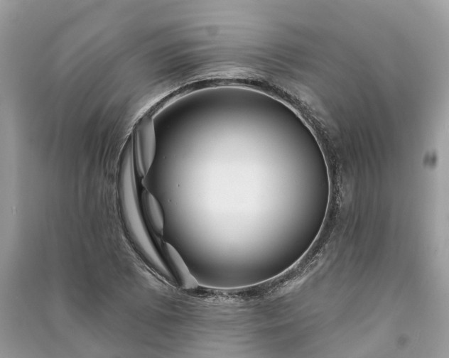 X0000091001073200708091535
