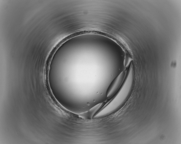 X0000091001076200708091535
