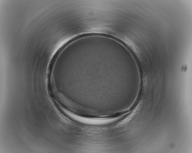 X0000091001077200708091535
