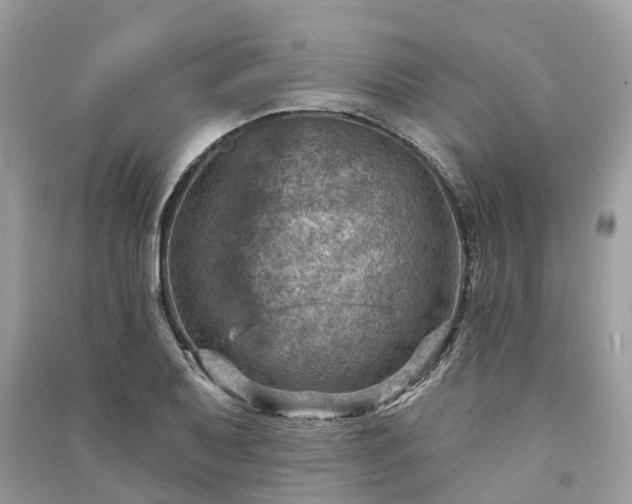 X0000091001079200708091535