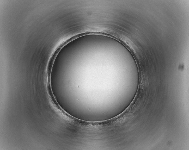 X0000091001080200708091535
