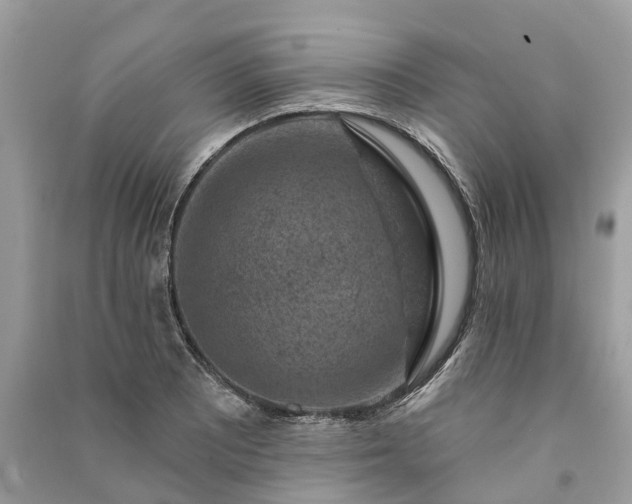 X0000091001081200708091535