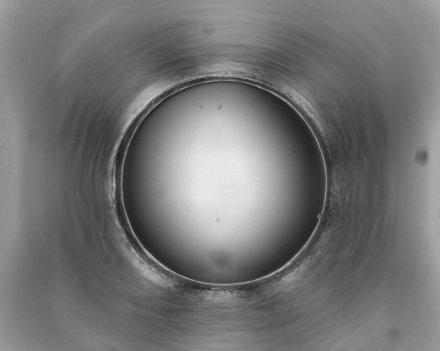 X0000091001082200708091535