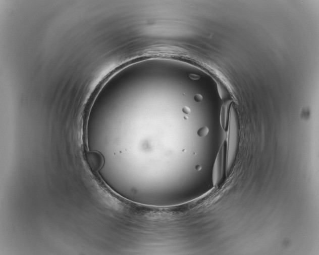 X0000091001083200708091535