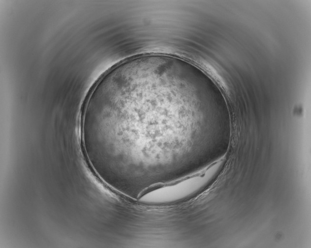X0000091001084200708091535