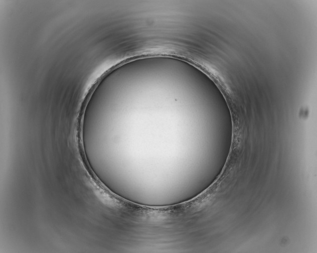 X0000091001086200708091534