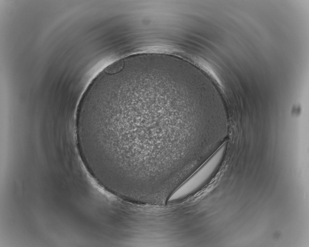 X0000091001087200708091534