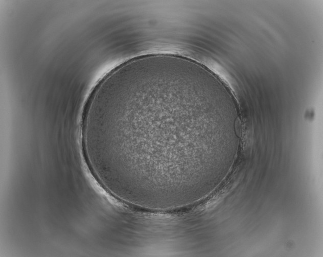 X0000091001088200708091534