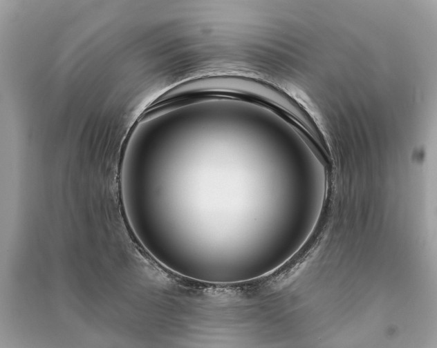 X0000091001089200708091534