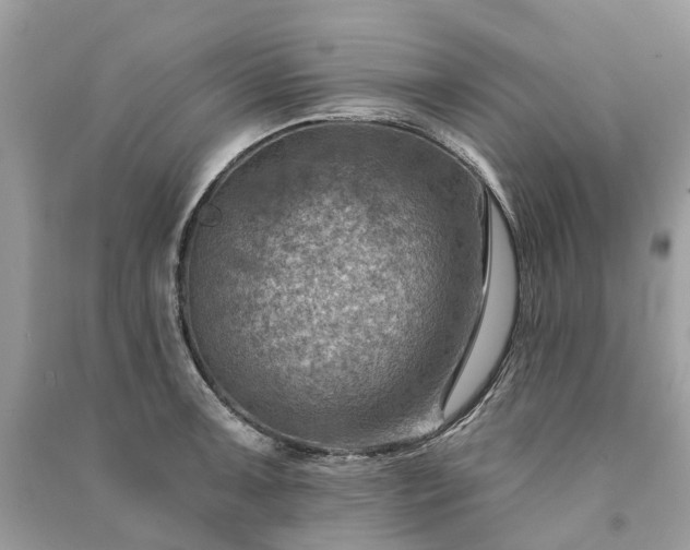 X0000091001091200708091534