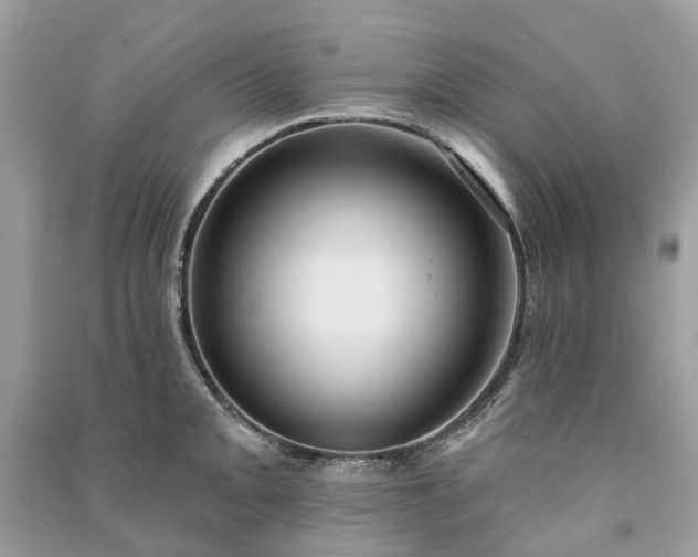 X0000091001093200708091534
