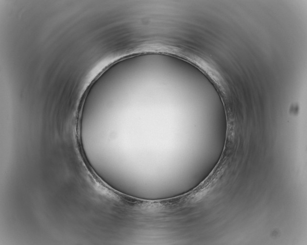 X0000091001094200708091534