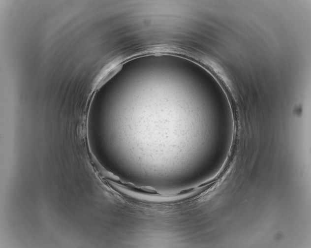 X0000091001097200708091534