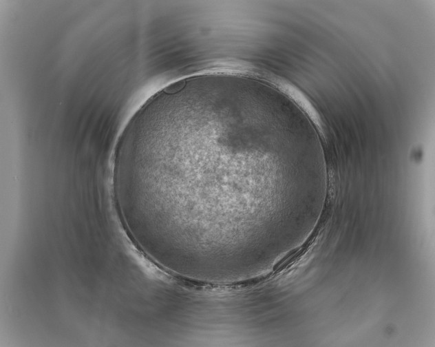 X0000091001099200708091534