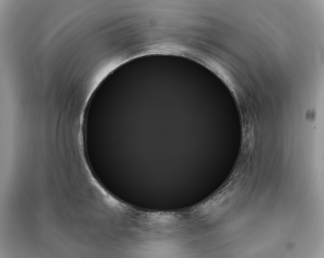 X0000091001103200708091534