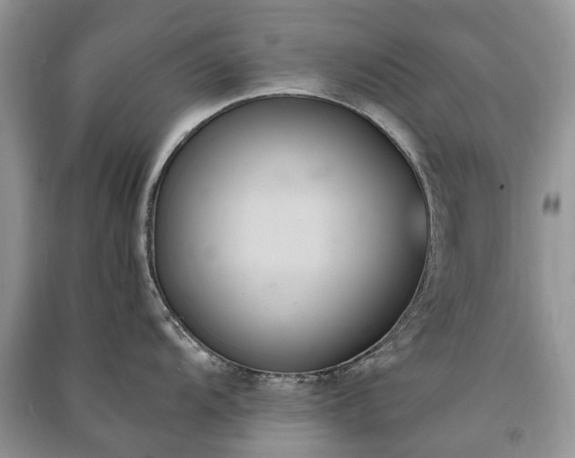 X0000091001104200708091534