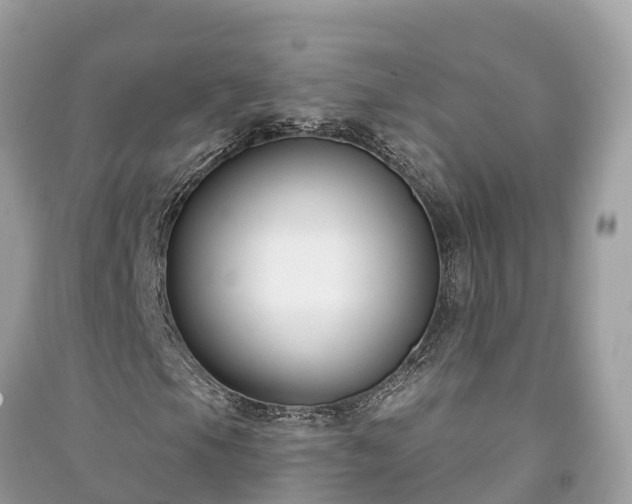X0000091001105200708091534
