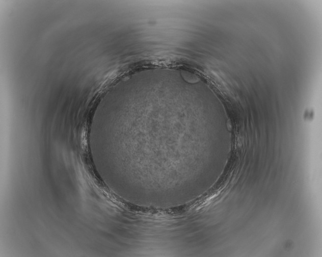 X0000091001106200708091534
