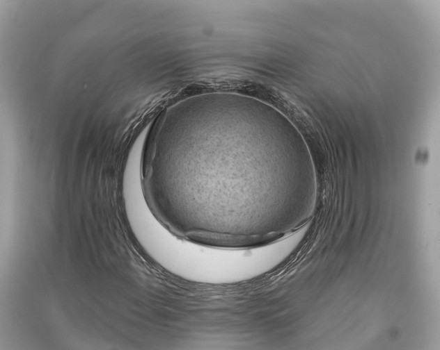 X0000091001108200708091534