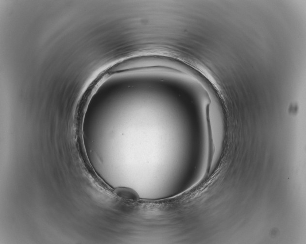 X0000091001116200708091534