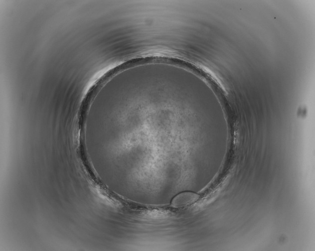 X0000091001117200708091534