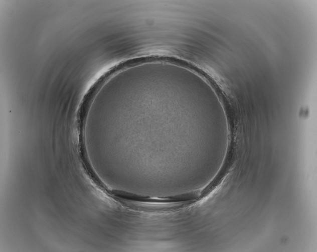 X0000091001118200708091534