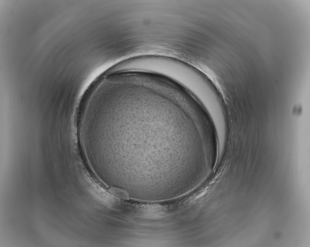 X0000091001120200708091534