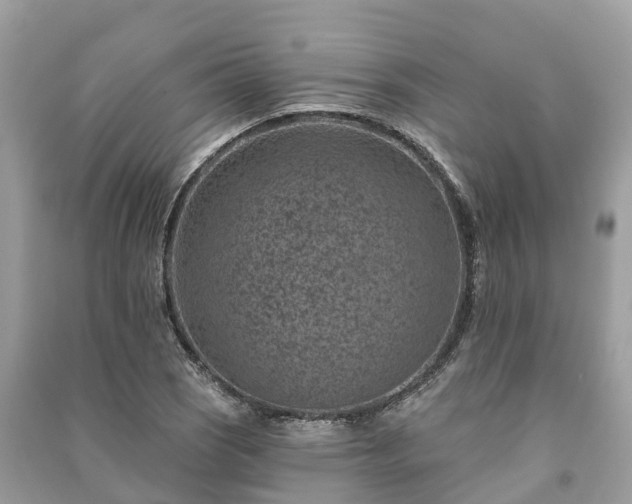 X0000091001121200708091534