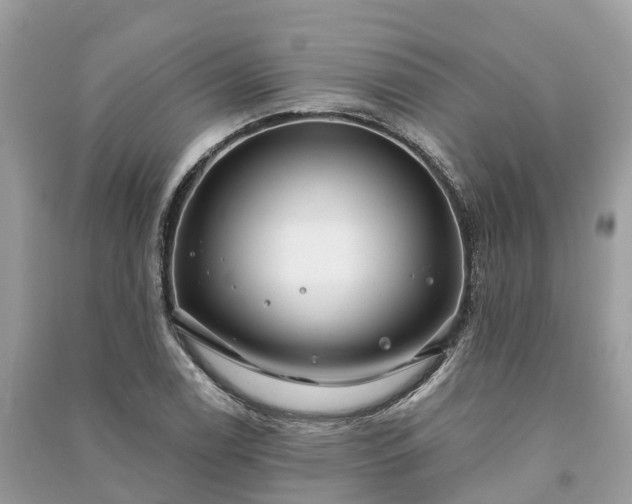 X0000091001122200708091534