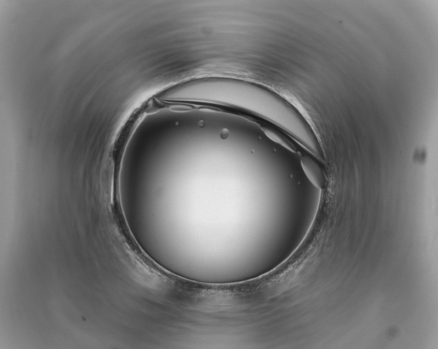 X0000091001123200708091534